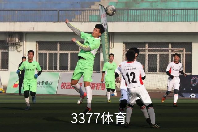 关于3377体育